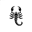 scorii