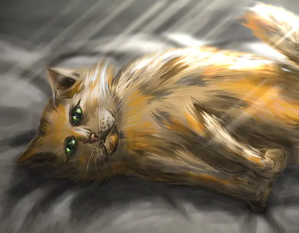 Кот