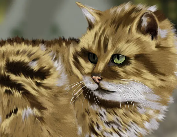 Лесной кот
