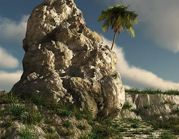 Одинокая пальма
