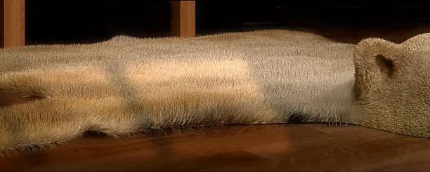 Модель шкуры редкого бело-бурого медведя
