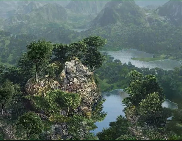 Forest