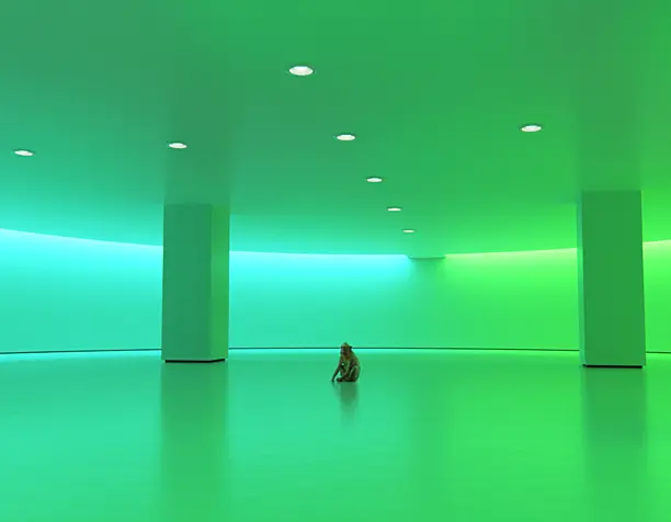 light_m