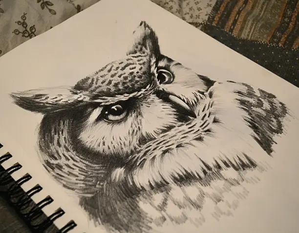 Сова