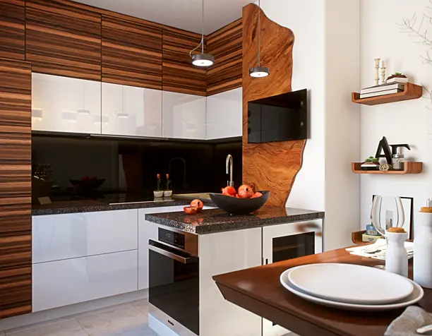 "Rationalism in Japanese"_Kitchen