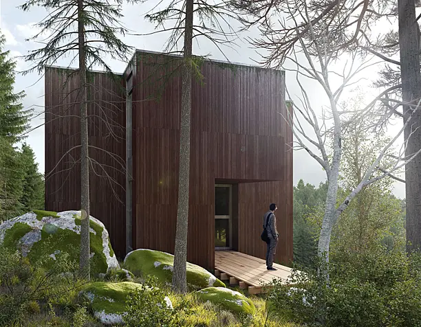 House in the forest | Morning