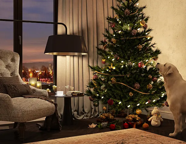 Christmas mood