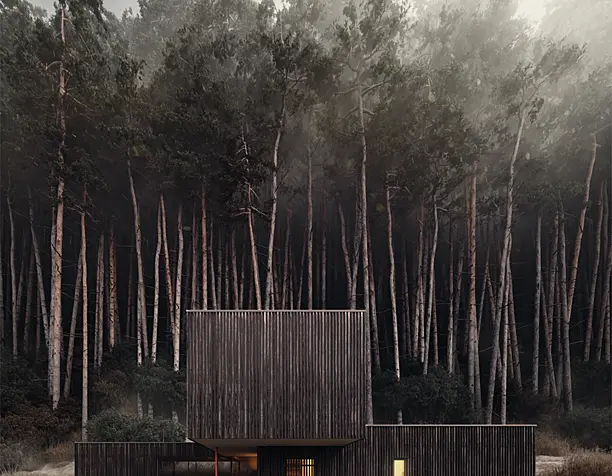 Black_Timber_House