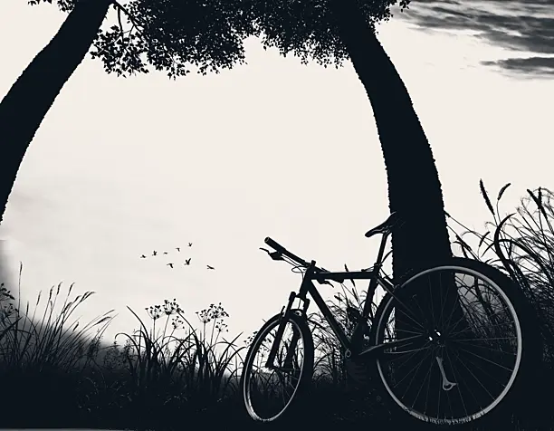 photo by 3ds max&vray))