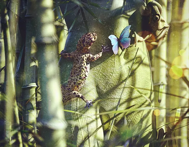 The last butterfly