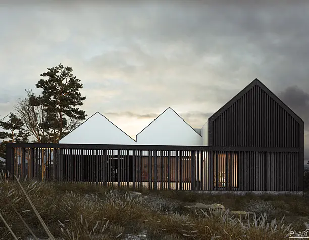 Individual house