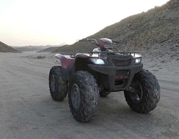 dusty bull