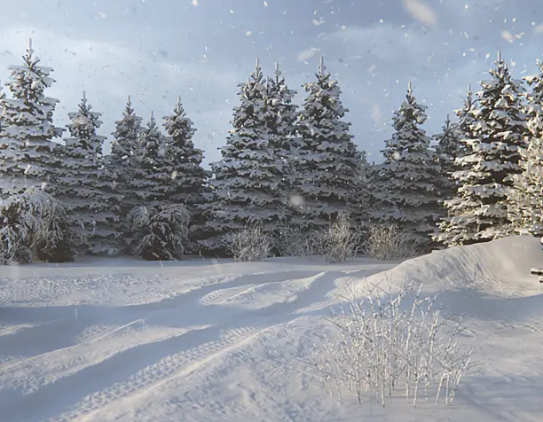 Winter morning