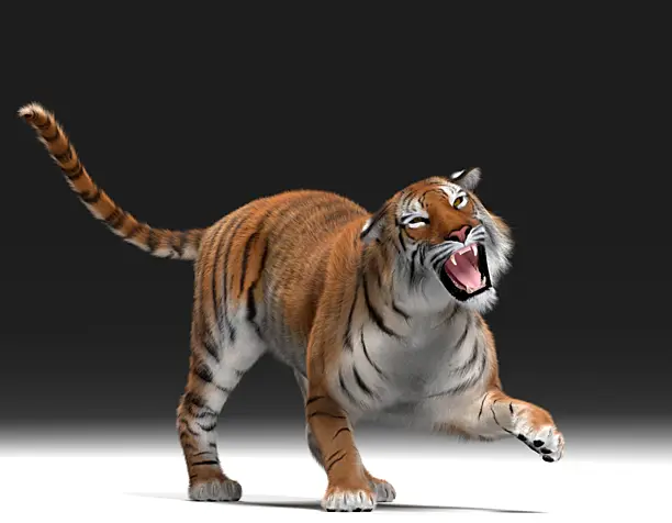Tiger