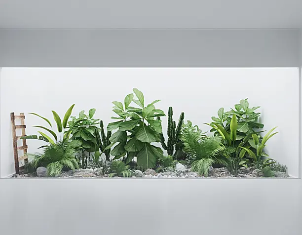 garden in the house