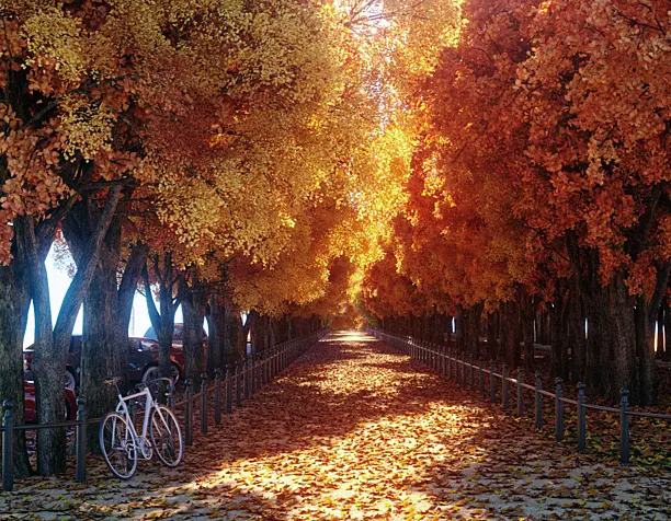 Осень