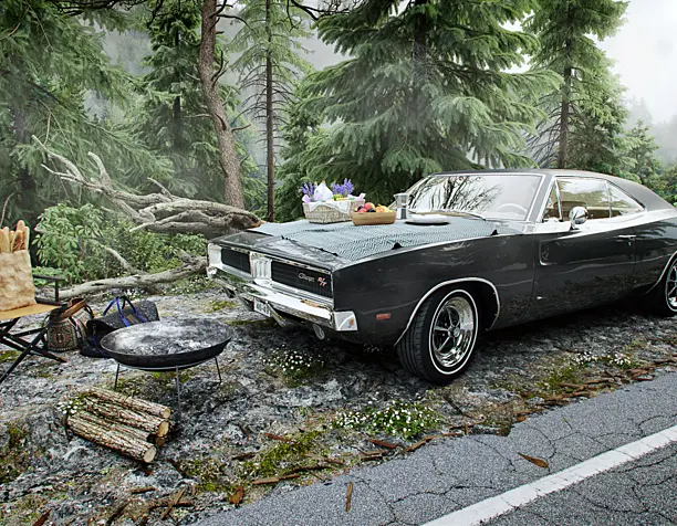 On the edge of the forest