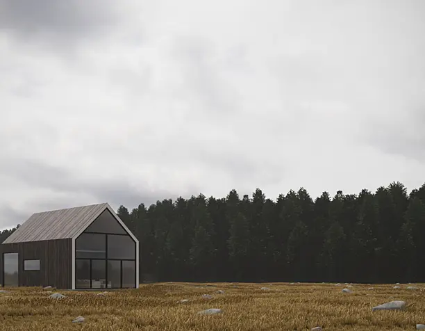 Норвежский дом