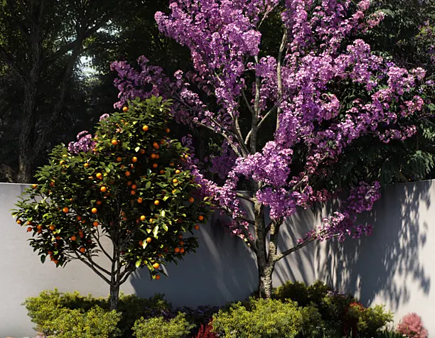 Green place for Purple