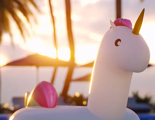 Summer Unicorn