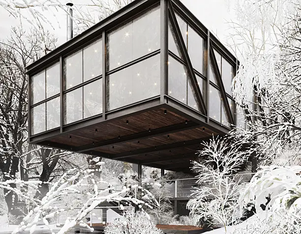 Winter House