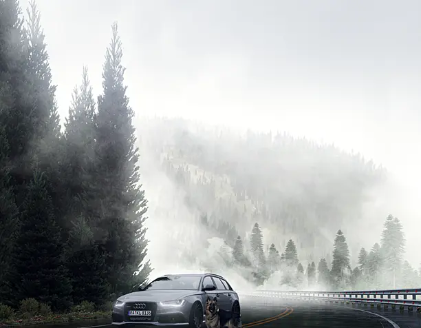 Audi RS6 C7 Avant on the mountain road