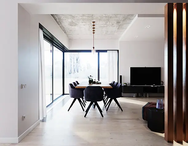 Minimal modern house