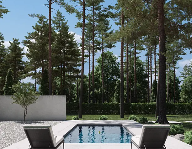 Forest House