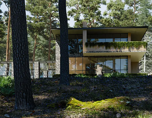 Forest House