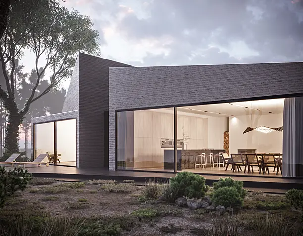 Concept House 1