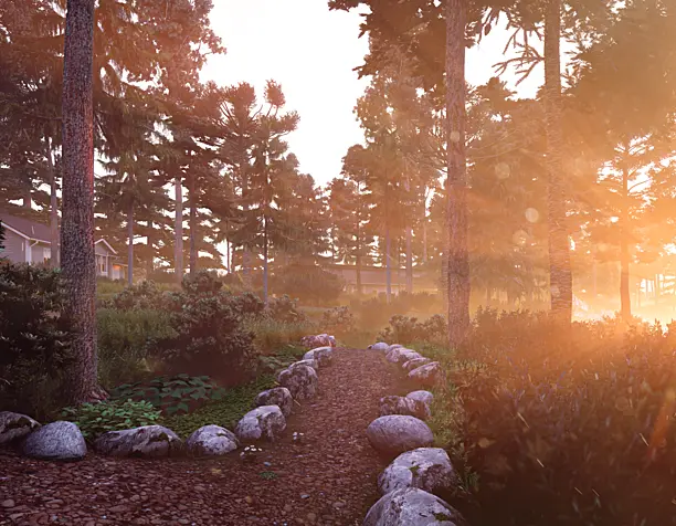 Sunset and rain. Forest