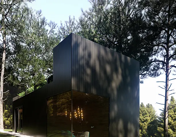 black villa