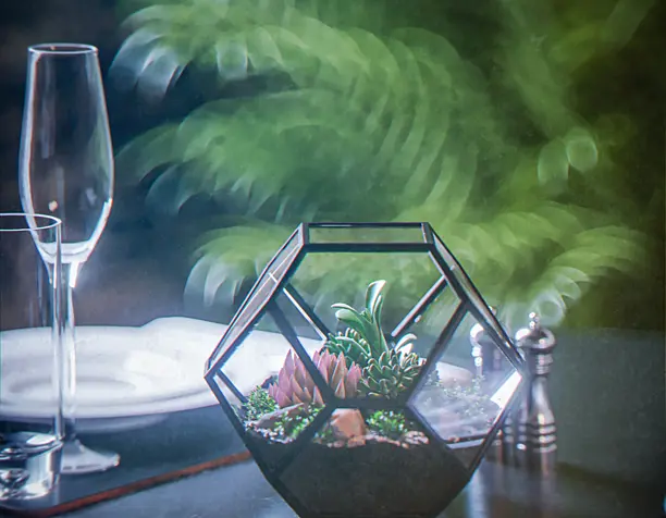 Florarium