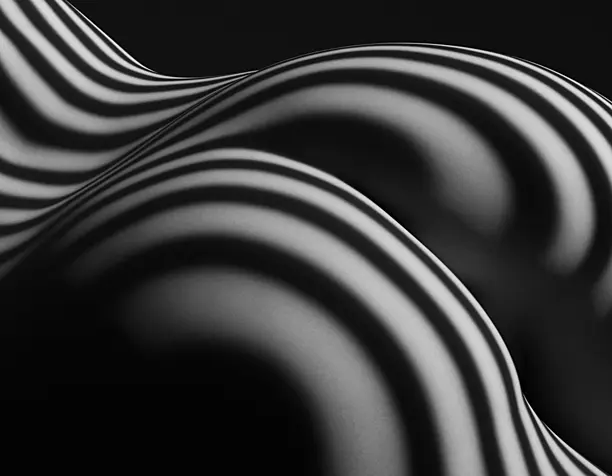 Зебры Lucien Clergue