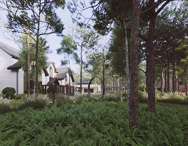 IN THE FOREST