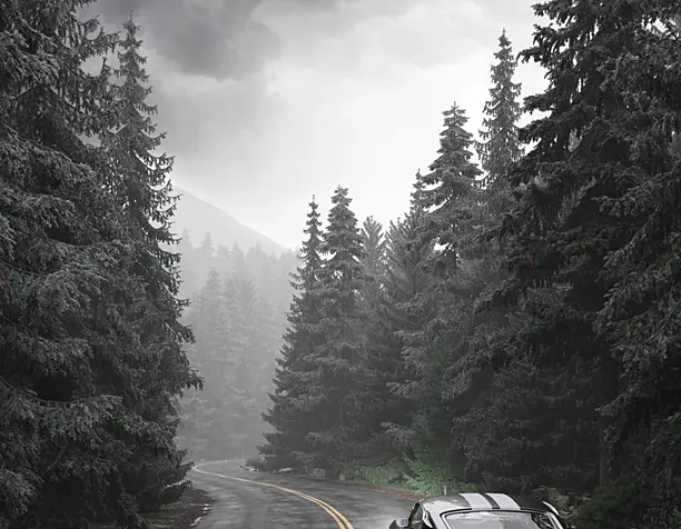 Full CGI - The Long Journey