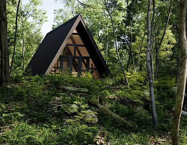 A-Frame Фахверк Shalash (сцена Archexteriors)