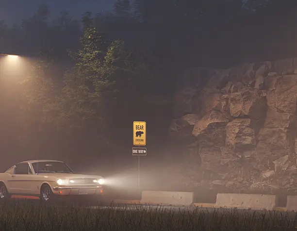 Misty Ford