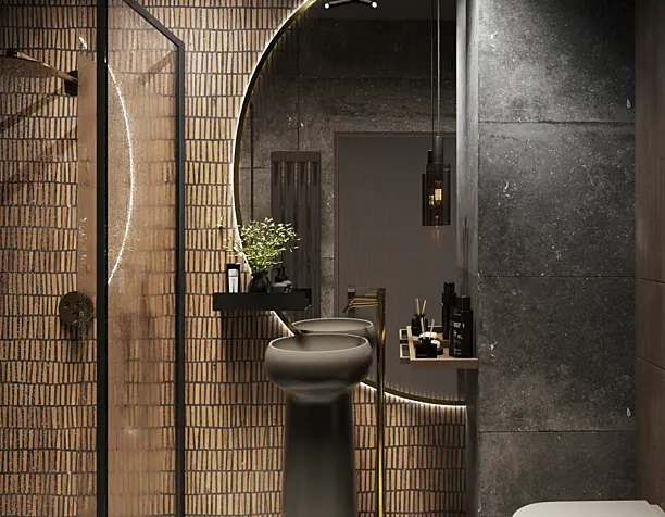 Renders of Dark Bathroom