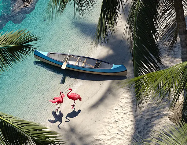 Tropical Flamingos
