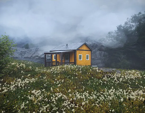 Scandinavian house
