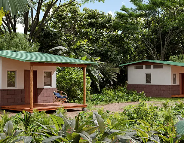 Проект "Eye on the Rainforest Sustainable Forestry"