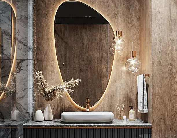 Bathroom Pent House