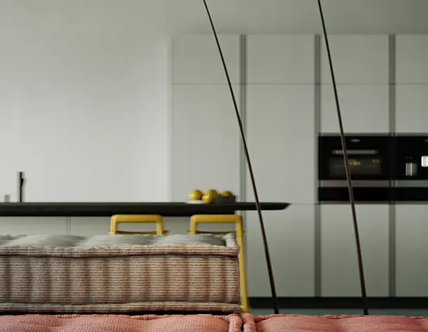 Living-kitchen room