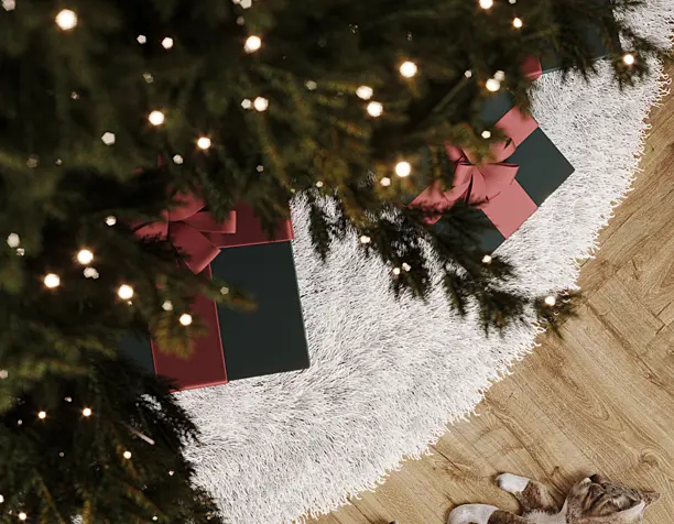 christmas cat