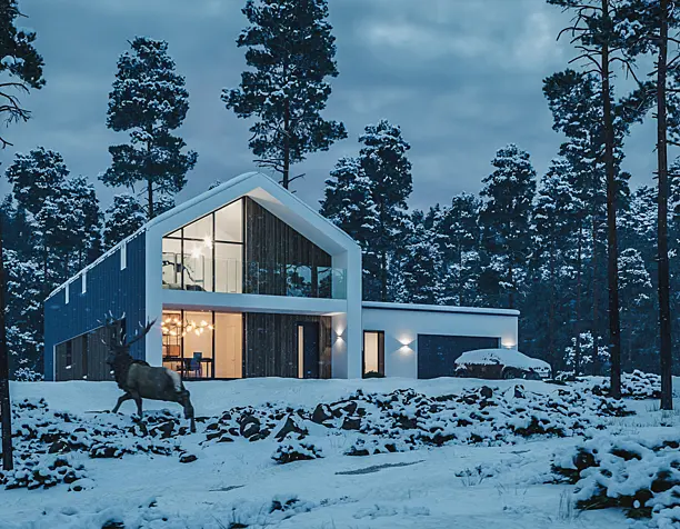 Modern Barn House in Poland winter version