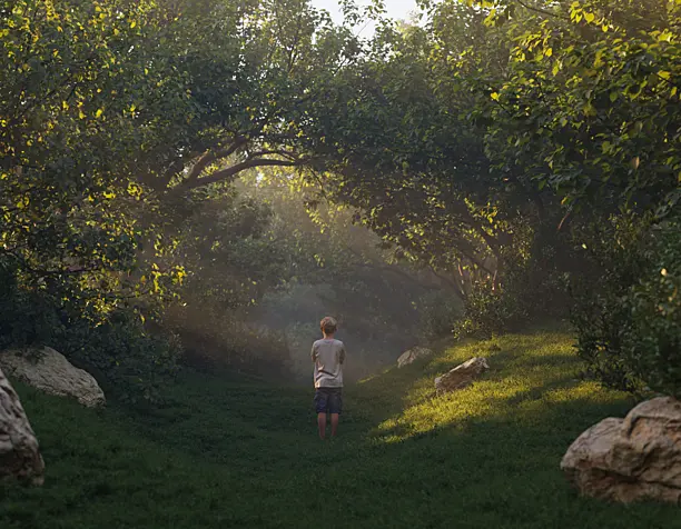 Forest