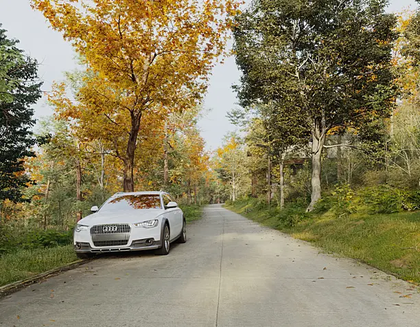 Forest road