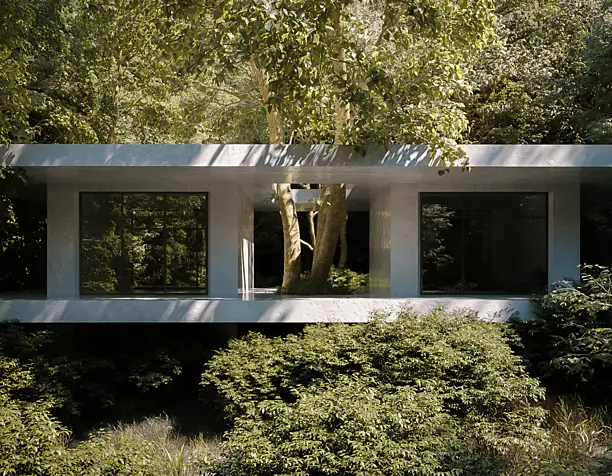 Concrete Forest