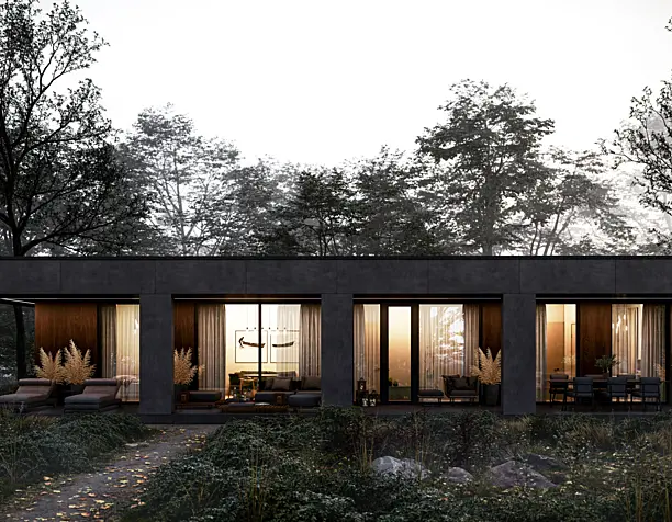 The house in the thicket